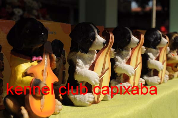 Clique sobre a foto para fechar